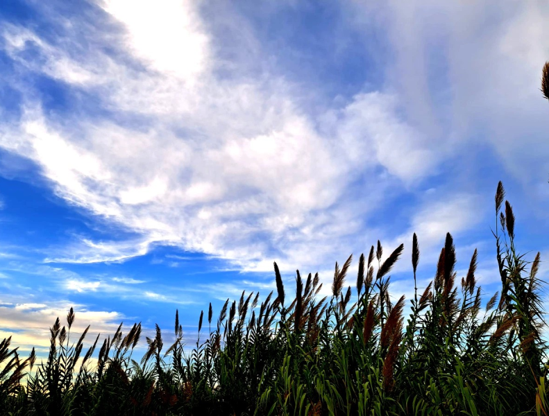 أجواء حارة في اغلب المناطق اليوم ومعتدلة غدًا